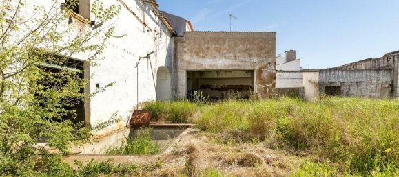 Lagerhaus in Reguengos de Monsaraz, Portugal, Nr. 145712 15