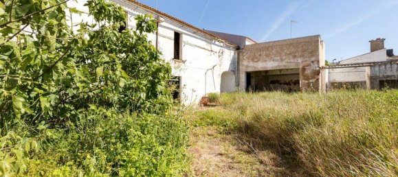 Lagerhaus in Reguengos de Monsaraz, Portugal, Nr. 145712 14