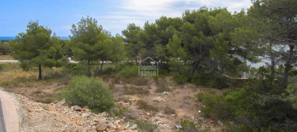 Grundstück in Es Mercadal, Spain, Nr. 3905 3