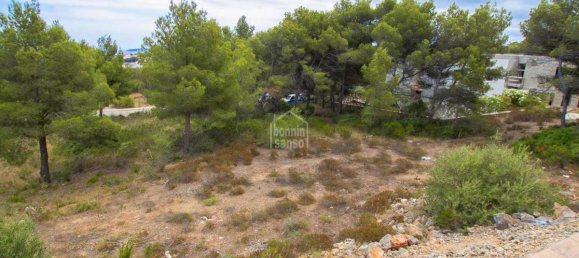 Grundstück in Es Mercadal, Spain, Nr. 3905 5