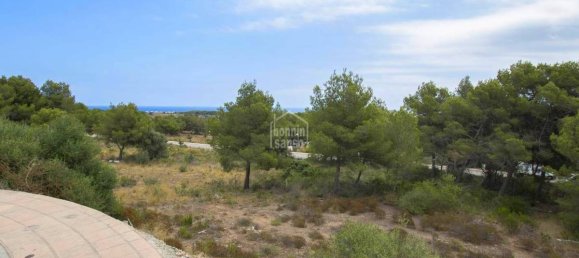 Grundstück in Es Mercadal, Spain, Nr. 3905 4