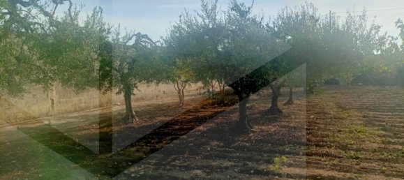 Villa T2 em Bari, Italy N.º 19182 34