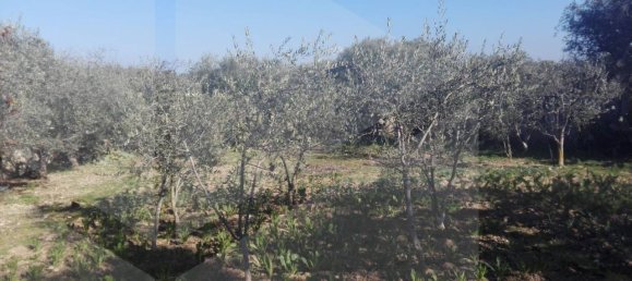 Villa T2 em Bari, Italy N.º 19182 22