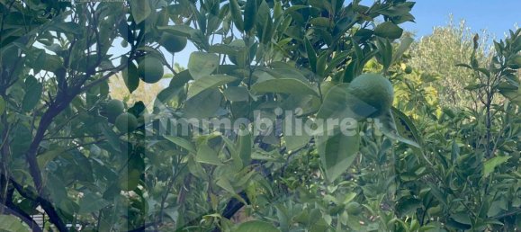 Villa T2 em Bari, Italy N.º 19182 36