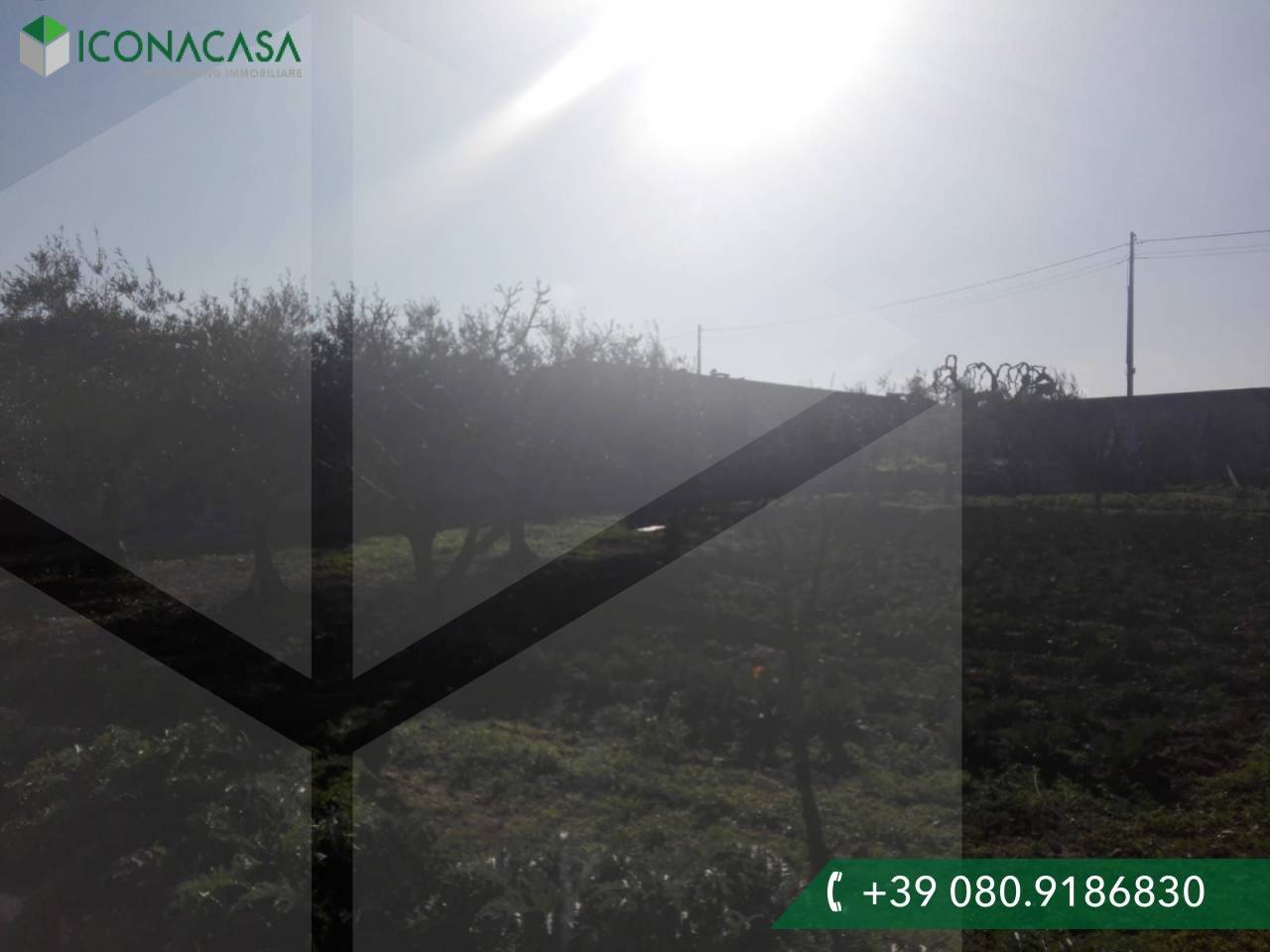 Villa T2 em Bari, Italy N.º 19182