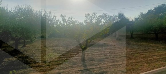 Villa T2 em Bari, Italy N.º 19182 30