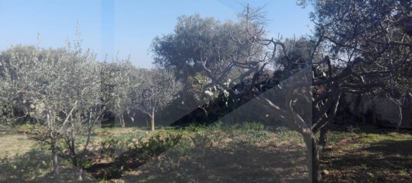 Villa T2 em Bari, Italy N.º 19182 27