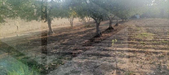 Villa T2 em Bari, Italy N.º 19182 33