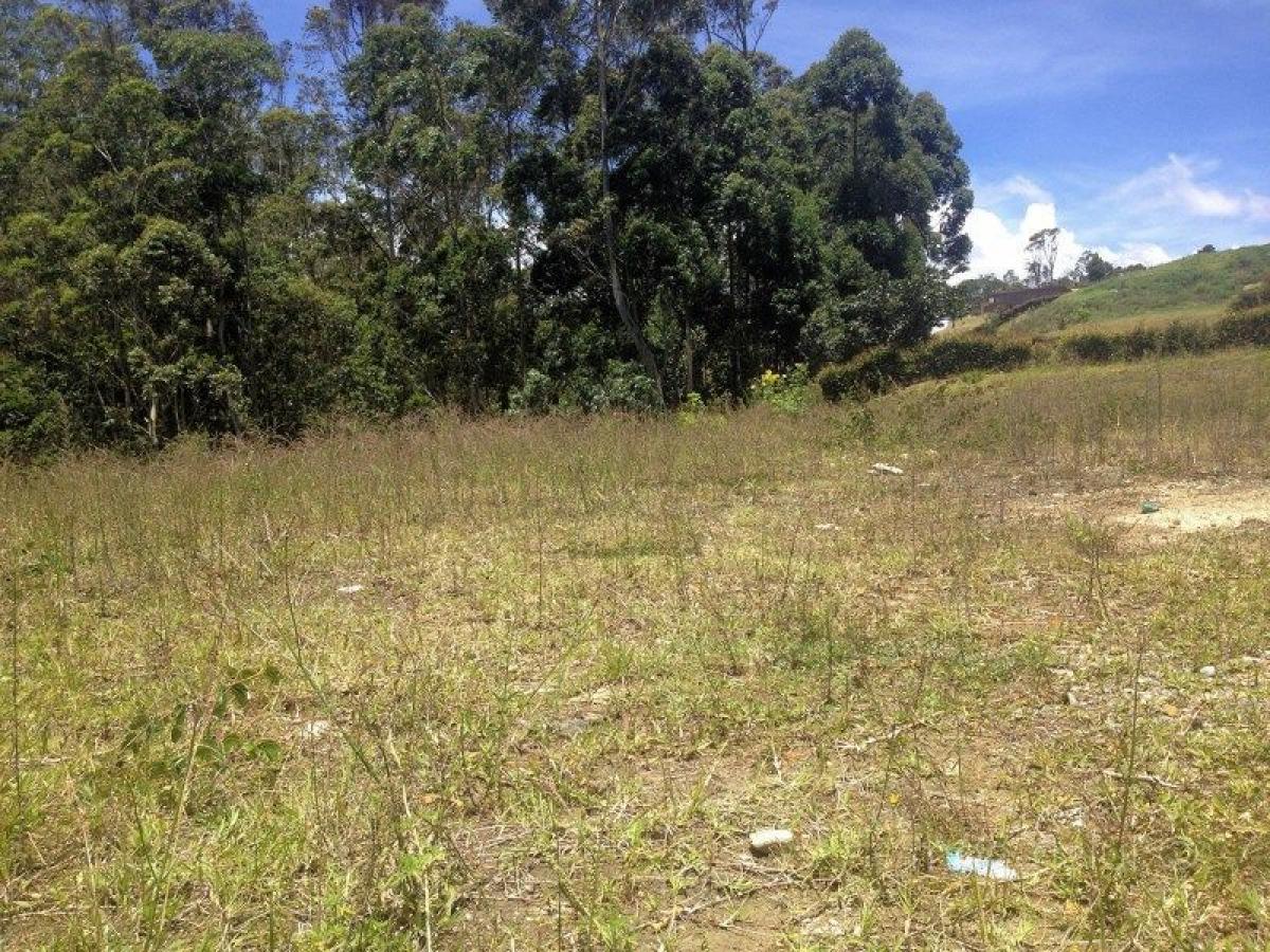  قطعة أرض في Antioquia, Colombia رقم 619