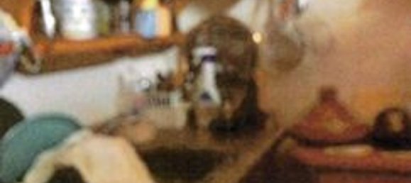 2-Zimmer Wohnung in Busto Garolfo, Italy, Nr. 95763 10