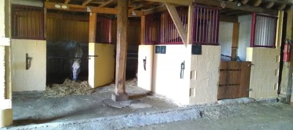 5 Schlafzimmer Haus in Courtisols, France, Nr. 59414 8