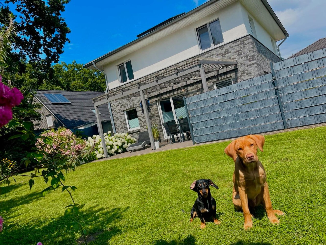 2 غرف نوم فيلا في Rendsburg-Eckernforde, Germany رقم 231995