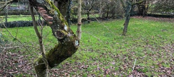 4 غرف نوم منزل في Schalbach, France رقم 54823 4