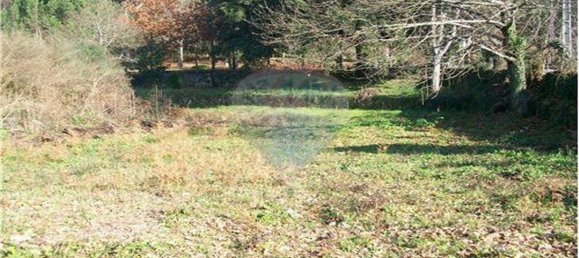 Дом с 1 спальней в Барселуш, Португалия № 35809 9