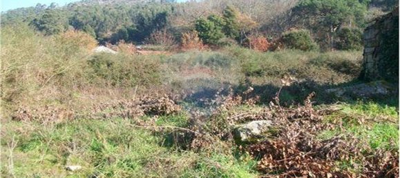 Дом с 1 спальней в Барселуш, Португалия № 35809 8