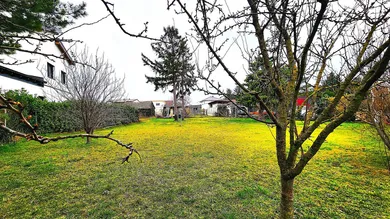  Land in Obersiebenbrunn, Austria No. 164327