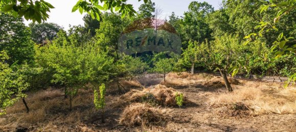 Villa de 4 dormitorios en Adrano, Italy No. 73926 31