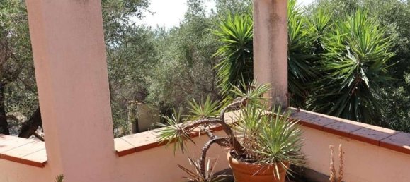 13 rooms Villa in Imperia, Italy No. 36209 34