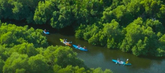 10620m² Land in Al Zorah, UAE No. 102688 10