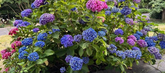 Propiedad comercial de 6 dormitorios en Neuwied, Germany No. 270779 12