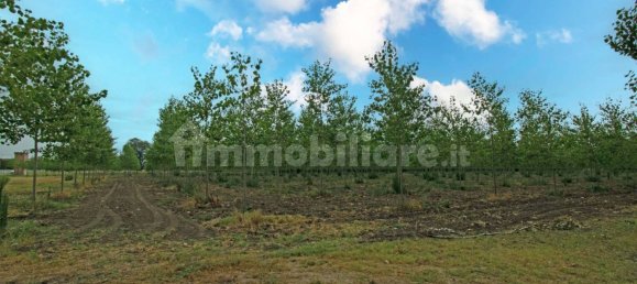 Дом с 3 спальнями в Терре дель Рено, Италия № 292673 6