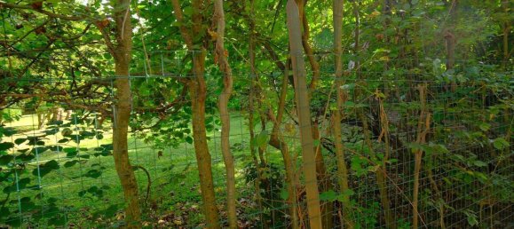 6 rooms Apartment in Sassello, Italy No. 77237 23