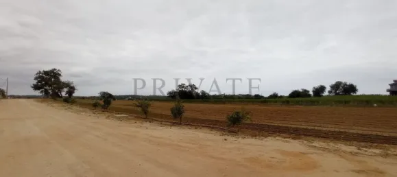 10 Schlafzimmer Haus in Guia, Portugal, Nr. 10077 7