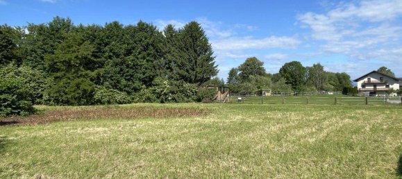 Land in Voitsberg, Austria No. 130815 2