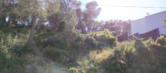 Terrain à Barcelona, Spain 981m² No. 155456 3