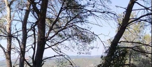 Terrain à Barcelona, Spain 981m² No. 155456 2