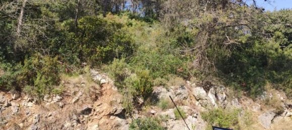 Terrain à Barcelona, Spain 981m² No. 155456 4