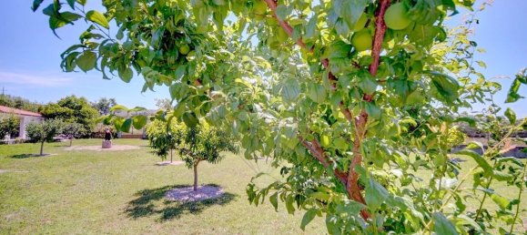 4 bedrooms House in Lama de Arcos, Portugal No. 183118 37