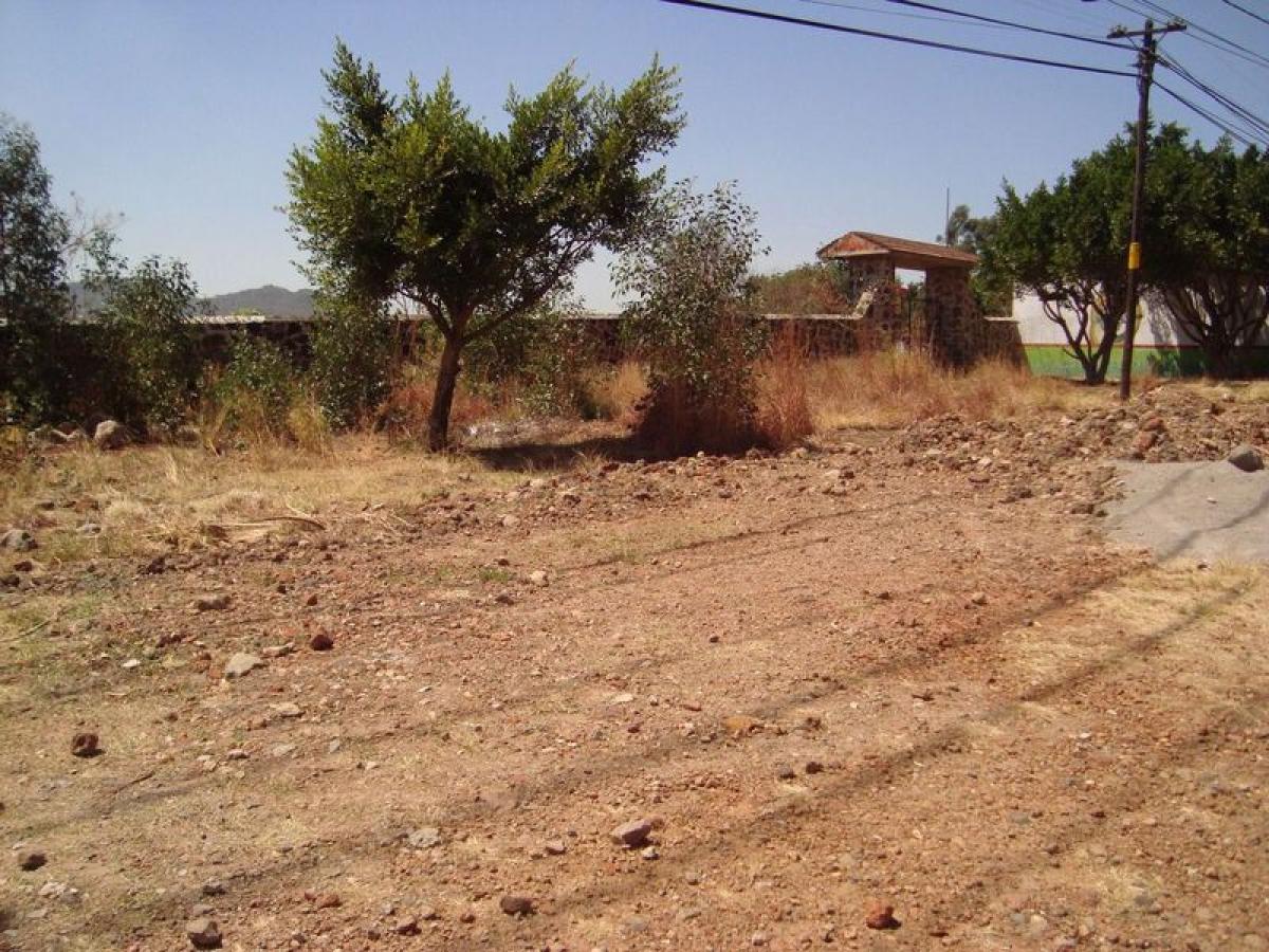 Terreno em Villa Guerrero, Mexico N.º 205325