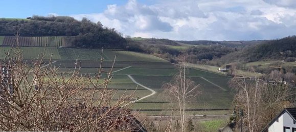 4 bedrooms House in Trier-Saarburg, Germany No. 278036 13