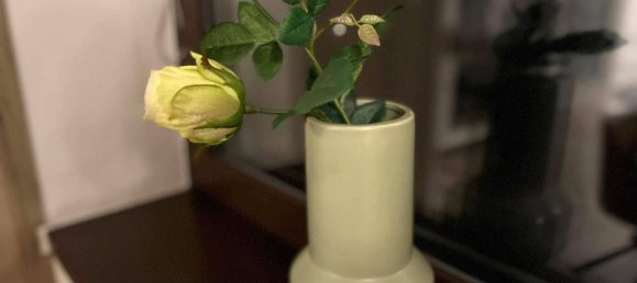 1 bedroom Apartment in Feldbach, Austria No. 127290 18