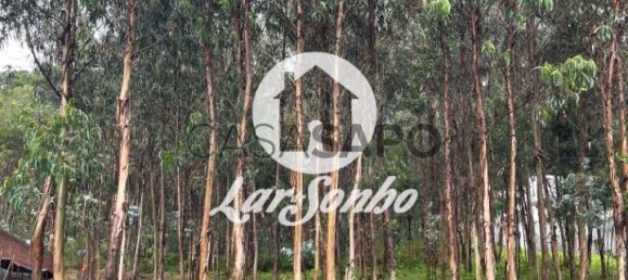 Grundstück in Remelhe, Portugal, Nr. 325988 4