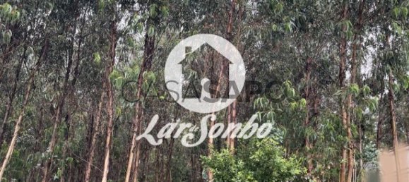 Grundstück in Remelhe, Portugal, Nr. 325988 16