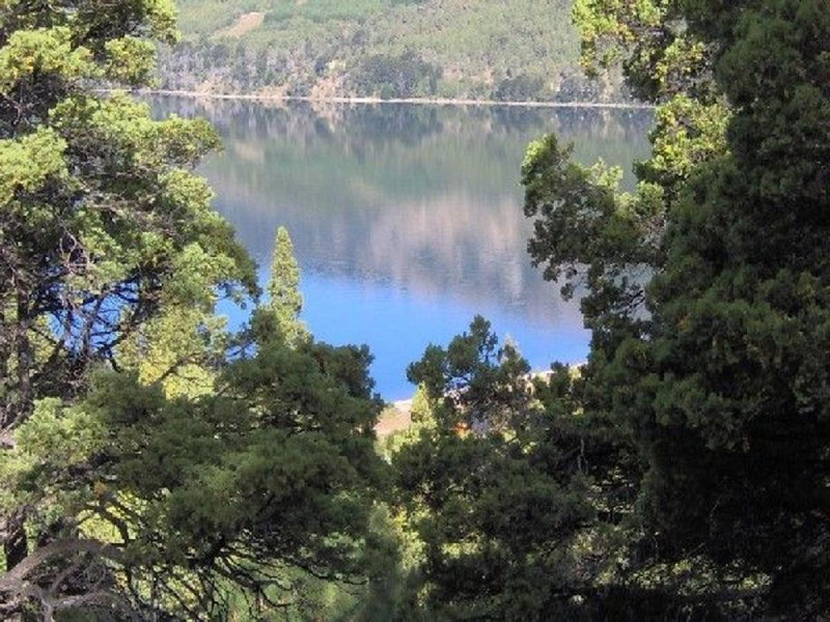 Terrain à Neuquen, Argentina No. 47293