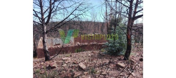 303382m² Land in Silves, Portugal No. 40987 4