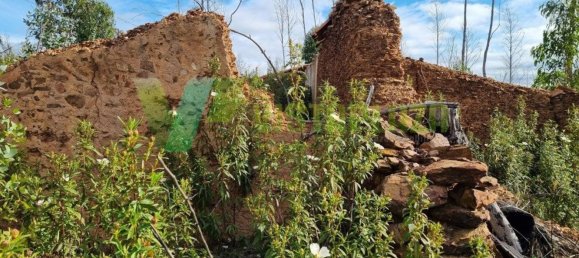 303382m² Land in Silves, Portugal No. 40987 2