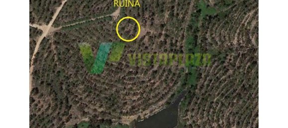 303382m² Land in Silves, Portugal No. 40987 11