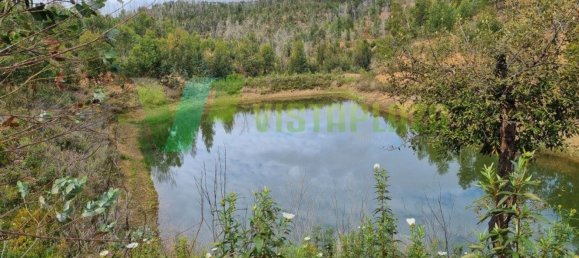 303382m² Land in Silves, Portugal No. 40987 5