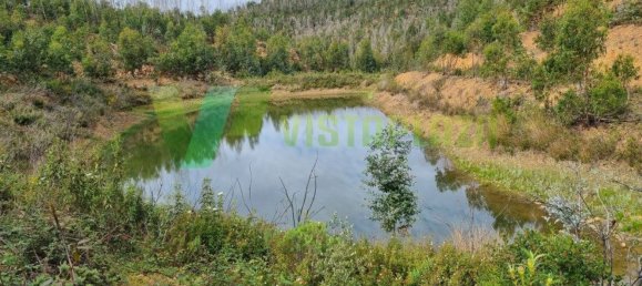 303382m² Land in Silves, Portugal No. 40987 6