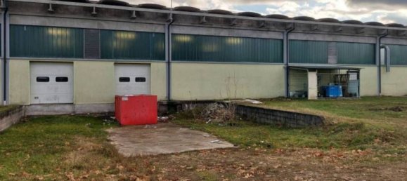 7835m² Warehouse in Sernaglia della Battaglia, Italy No. 306789 3