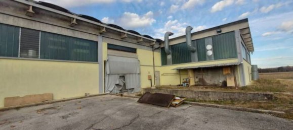 7835m² Warehouse in Sernaglia della Battaglia, Italy No. 306789 12