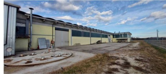 7835m² Warehouse in Sernaglia della Battaglia, Italy No. 306789 9