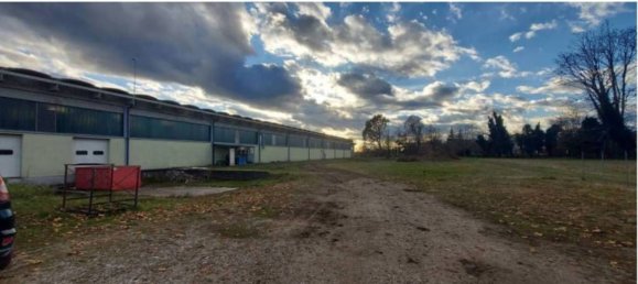 7835m² Warehouse in Sernaglia della Battaglia, Italy No. 306789 2