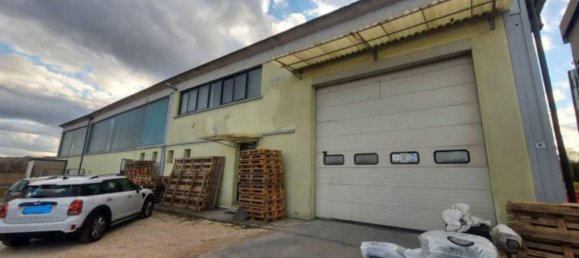 7835m² Warehouse in Sernaglia della Battaglia, Italy No. 306789 8