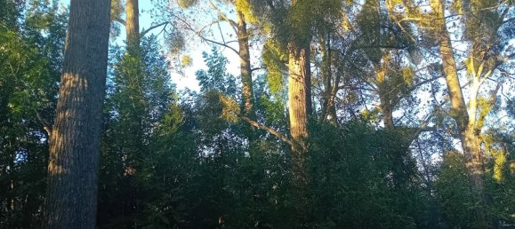 8253m² Land in Montcornet, France No. 156700 8