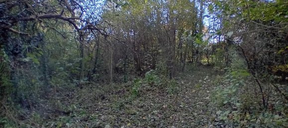 8253m² Land in Montcornet, France No. 156700 9